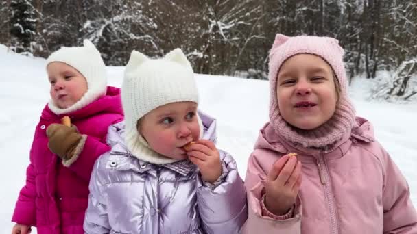 Schwestern Drillinge Mit Wintermützen Und Ohren Die Winter Draußen Brot — Stockvideo