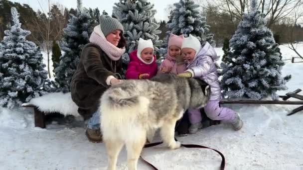 Hármasikrek Sétálnak Husky Kutyával Télen Megnézik Hogy Játszik Vele Tél — Stock videók