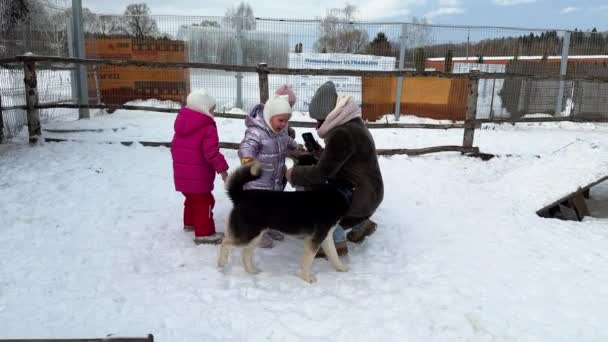 Hármasikrek Sétálnak Husky Kutyával Télen Megnézik Hogy Játszik Vele Tél — Stock videók