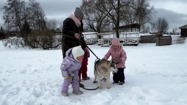 Kardeş Üçüzler Kışın Iri Köpeklerle Yürürler Onunla Oynadığını Görürler Kış — Stok video
