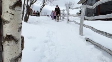 Üçüzleri olan küçük kız kardeşleri olan bir anne köpekleri tasmalı, kışın donmuş bir gölün buzunda ve karda yürürler. Yüksek kalite 4k görüntü