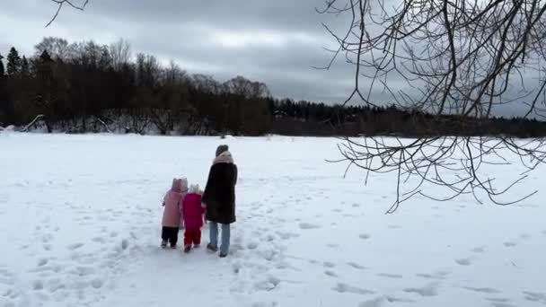 Máma Trojčaty Malé Sestřičky Chodící Husky Psem Vodítku Chodí Zimě — Stock video