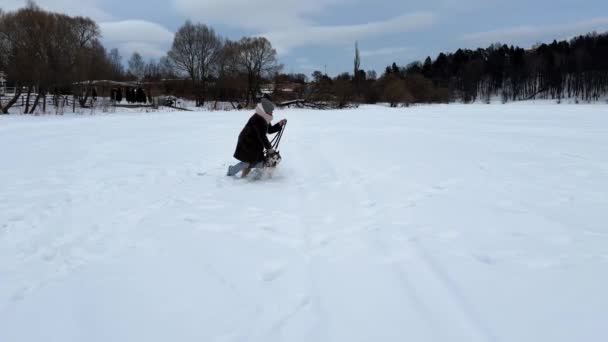 Κορίτσι Που Περπατά Ένα Husky Ένα Λουρί Στο Χιόνι Καλυμμένο — Αρχείο Βίντεο