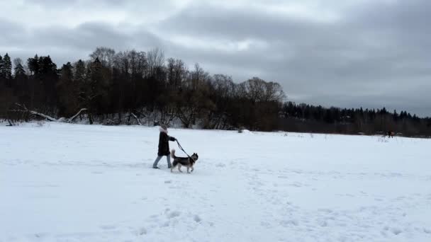 Dziewczyna Spacerująca Husky Smyczy Pokrytym Śniegiem Lodzie Zamarzniętego Jeziora Pochmurna — Wideo stockowe