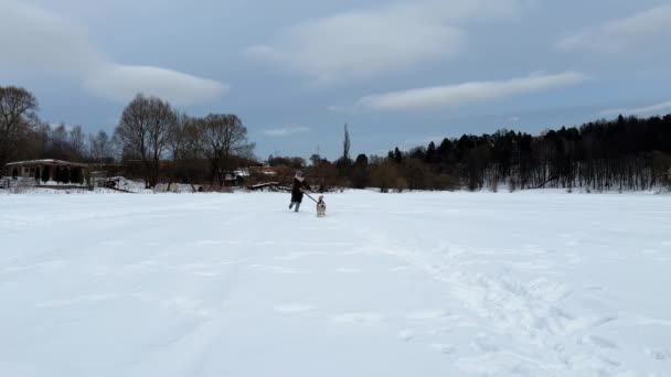 凍った湖の雪に覆われた氷の上にハスキーと一緒に歩く少女 曇った天気 高品質の4K映像 — ストック動画