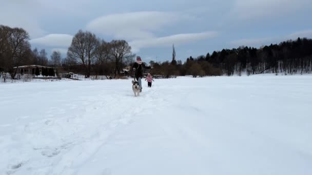 Annem Kayışlı Bir Köpekle Kameraya Koşuyor Kızları Onun Peşinden Koşuyor — Stok video