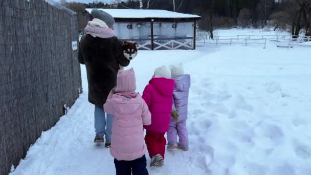Mama Trojaczki Córka Spacerują Zimą Brązowym Husky Szczeniakiem Mama Trzyma — Wideo stockowe
