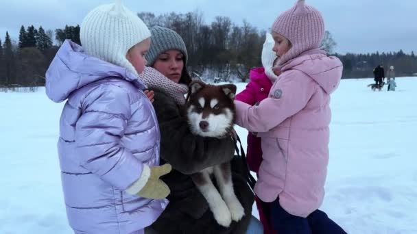Mamma Figlia Terzine Che Camminano Inverno Con Cucciolo Husky Marrone — Video Stock