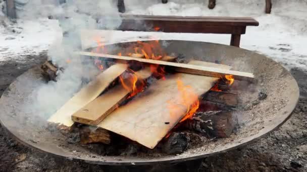 Een Vuur Gemaakt Van Planken Een Metalen Kom Winter Hoge — Stockvideo