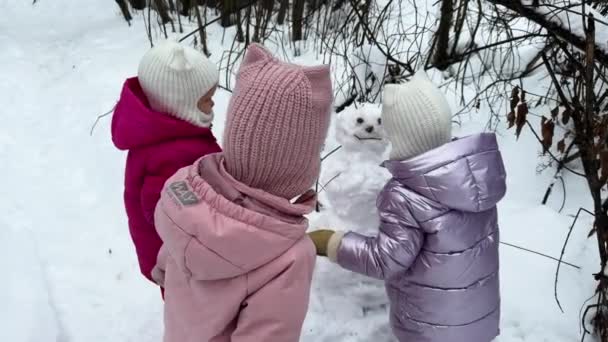 Zusters Drieling Maken Een Sneeuwpop Het Bos Hoge Kwaliteit Beeldmateriaal — Stockvideo