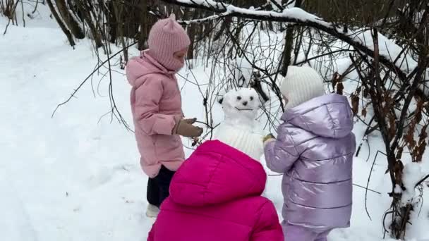 三胞胎姐妹在森林里堆雪人高质量的4K镜头 — 图库视频影像