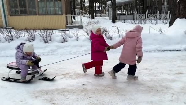 Şehir Parkında Karlı Kış Mevsiminde Kızağın Üzerinde Oturan Üçüncü Bir — Stok video