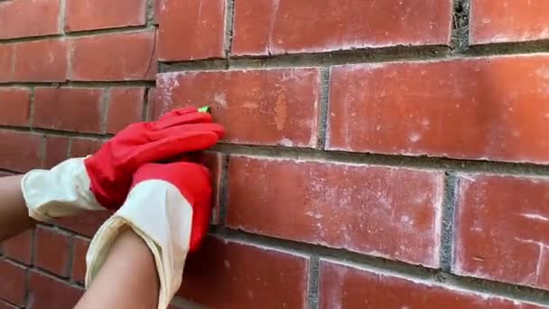 一家清洁公司正在清理一家砖房的墙面 该公司正在清理白色门店的一面红砖墙 高质量的4K镜头 — 图库视频影像