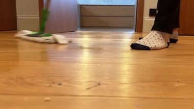 Soğuk bir kışta beyaz bir güvercin karın üzerinde oturur. Yüksek kalite 4k görüntü