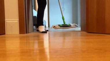 Soğuk bir kışta beyaz bir güvercin karın üzerinde oturur. Yüksek kalite 4k görüntü