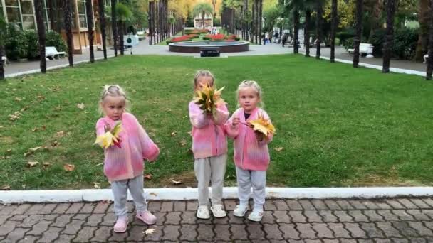 Drie Triplet Zussen Roze Truien Met Gevallen Herfstbladeren Het Park — Stockvideo