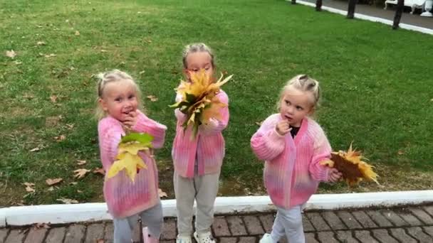 Drei Drillingsschwestern Rosa Pullovern Mit Abgefallenen Herbstblättern Park Hochwertiges Filmmaterial — Stockvideo