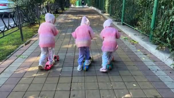 Tres Niñas Trillizas Suéteres Montando Scooters Push Otoño Vista Ciudad — Vídeo de stock