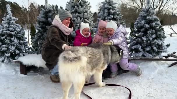 Zuster Drieling Wandelen Met Husky Hond Winter Kijken Haar Spelen — Stockvideo