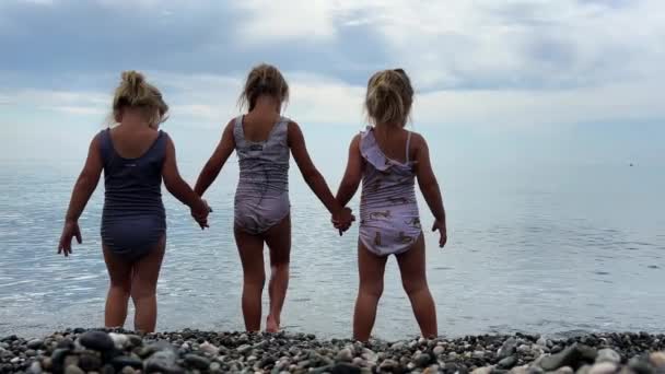 Sorelle Triplette Nuotano Acqua Mare Una Spiaggia Ciottoli Alberi Pino Video Stock Royalty Free