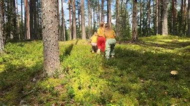 Bu yürek ısıtan video, iki kızın neşeyle yaban mersini ararken doğa ile kucaklaştığı, yemyeşil bir ormanda manzaralı bir yürüyüş yapan arkadaşları gösteriyor.
