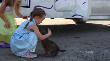 Çocuklar çöpte yaşayan sokak köpeklerini besler. Yüksek kalite 4k görüntü