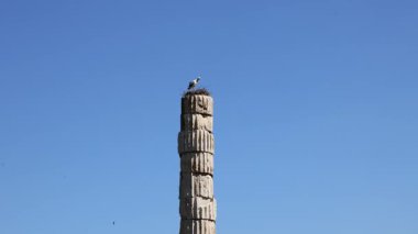 Artemis tapınağının kalıntıları antik dünyanın bir harikasıdır. Yüksek kalite 4k görüntü