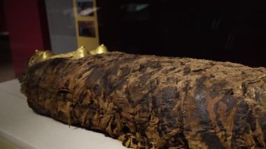 Antik Mısır Hurghada Müzesi 'nde sergiler. Yüksek kalite 4k görüntü