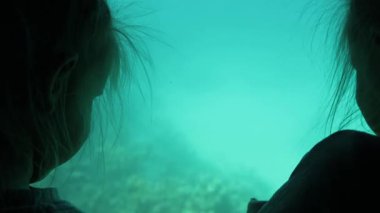 Denizde cam tabanlı bir tekne turundaki çocuklar. Yüksek kalite 4k görüntü