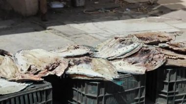 Hurghada Mısır 'daki balık pazarında sokak yemeği. Yüksek kalite 4k görüntü