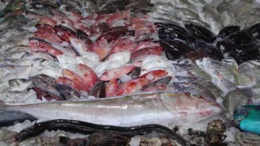 Mısır 'daki balık pazarı hurghada. Yüksek kalite 4k görüntü