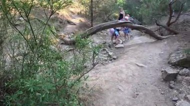 Çocuklu bir aile Kırım 'daki Golitsyn patikasında yürüyor. Yüksek kalite 4k görüntü