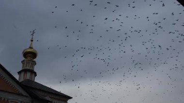 Suzdal şehri sıcak bir sonbahar akşamıdır. Yüksek kalite 4k görüntü