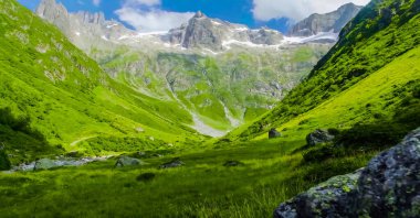 Dağları ve yeşil otları olan güzel bir manzara.