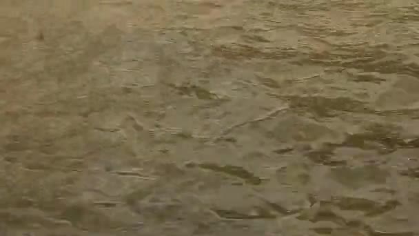 アンカラで1日水の中に波紋とスプラッシュ — ストック動画