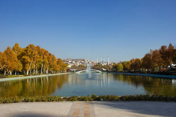 Cami, havuz, sonbahar ağaçları ve şehir parkındaki sükunet.