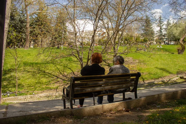 stock image two women enjoying the sun in the park. Two women, one old and the other middle-aged, are sitting in the park on a sunny day.