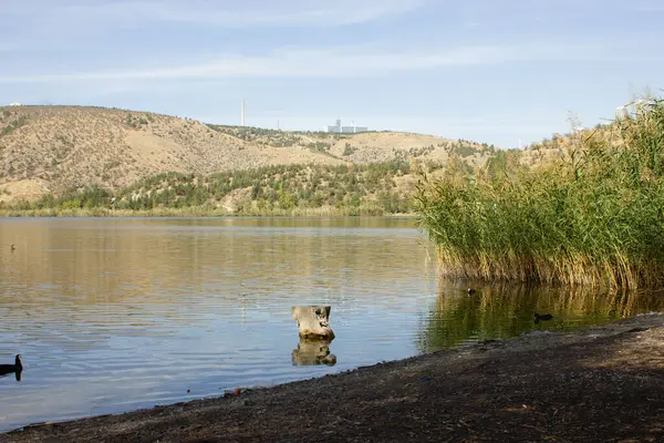 Ankara, Türkiye 'de Eymir göl manzarası