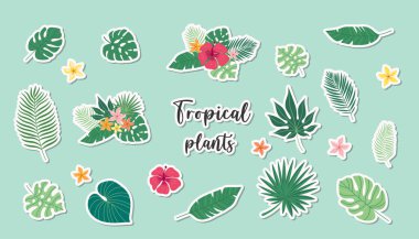 yaz indirimi afişleri arka plan desenleri