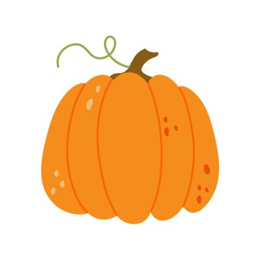 Cadılar Bayramı Şükran Günü Hasat Festivali için sonbahar sebzesi. Basit modern karalama ikonu. Organik, sağlıklı malzemeler pişirmek. Vejetaryen yemeği. Tasarım ögesi