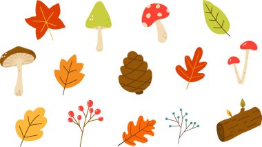 Sonbahar seti, el yapımı elementler, dökülen yapraklar, mantarlar, balkabakları ve diğerleri. İnternet, kart, poster, kapak, etiket, davetiye, etiket kiti için mükemmel. Vektör illüstrasyonu