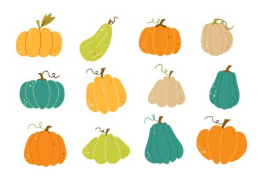 Sonbahar seti, el yapımı elementler, dökülen yapraklar, mantarlar, balkabakları ve diğerleri. İnternet, kart, poster, kapak, etiket, davetiye, etiket kiti için mükemmel. Vektör illüstrasyonu