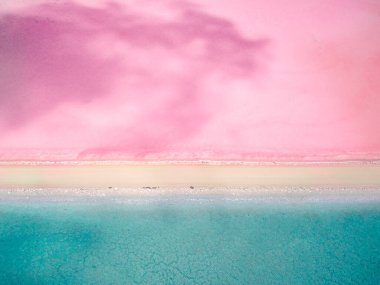 McDonnell Gölü 'nün tepeden tırnağa insansız hava aracı fotoğrafı. Toprak yollu pembe & yeşil göl. 