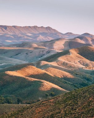 Ağaçlarla kaplı güzel bir manzara. 