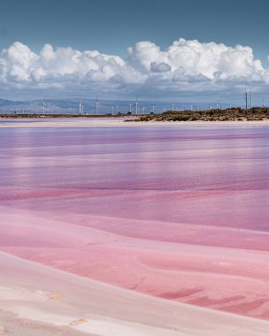 Pembe Göl Güney Avustralya - Kuş Gölü, Port Augusta