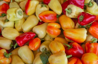 Şehir pazarının tezgahında suya batırılmış ılık biberler.