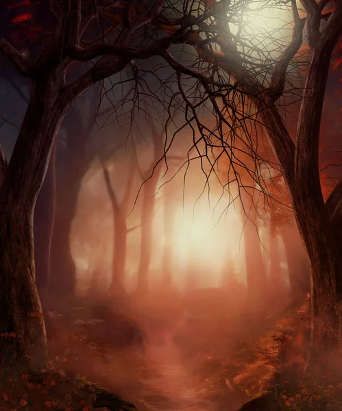 美丽迷人的小径穿过童话雾蒙蒙的秋林 3D渲染 — 图库照片