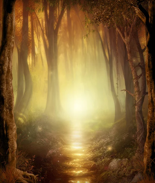 Beautiful Enchanting Foot Path Fairy Tale Misty Autumn Woodland Leading Εικόνα Αρχείου