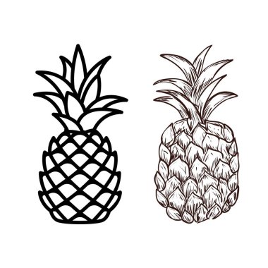 Ananas ikonu seti. vektör illüstrasyonu