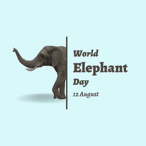 international elephant day. august 1 1 th. international day, elephants with blue bacground